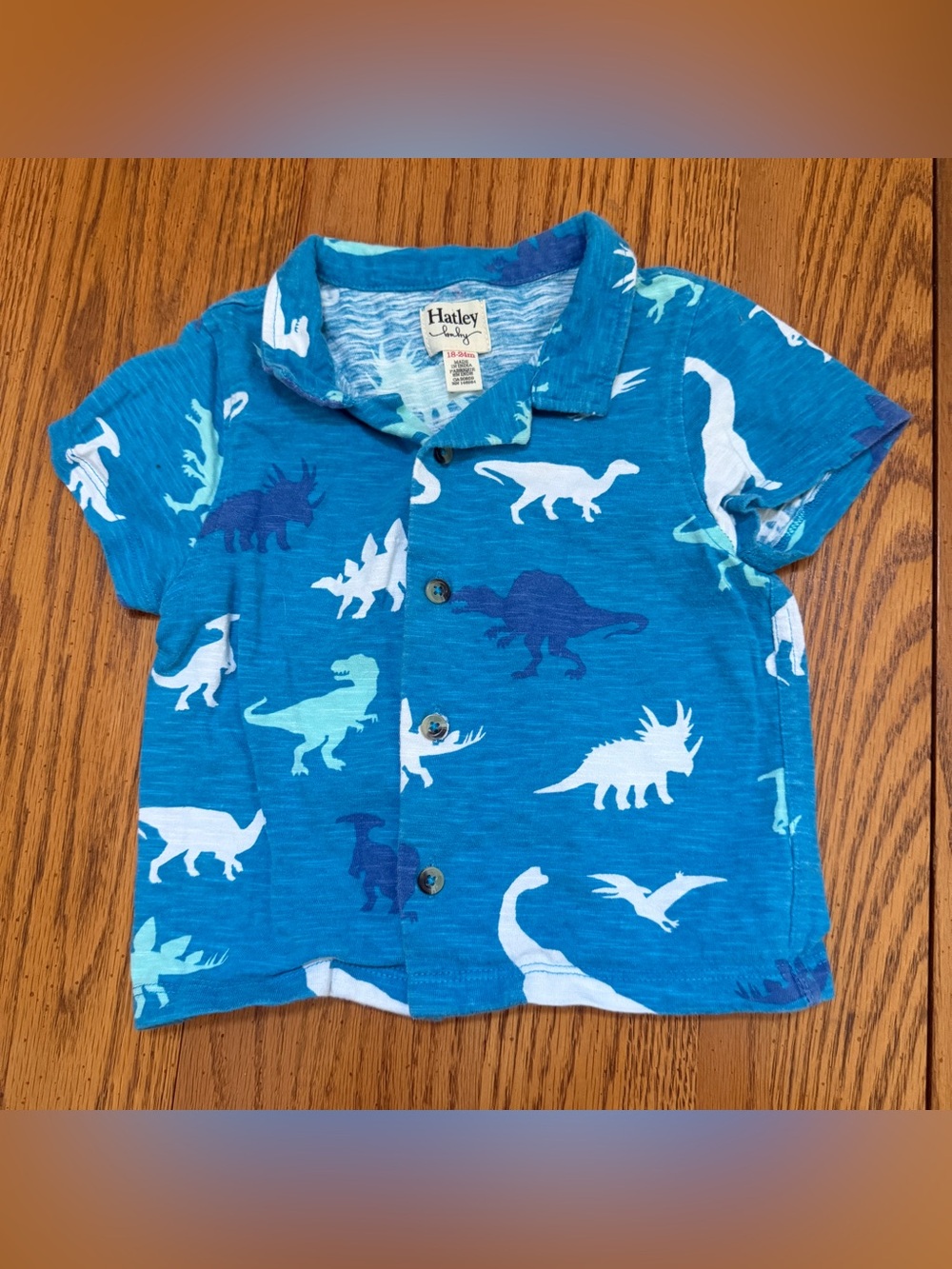 Hatley Blue Dinosaur Print Kids Polo Shirt